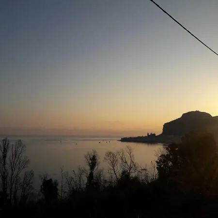Agave * Cefalu